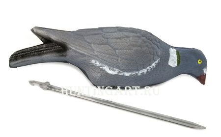 Чучело сминаемое голубя вяхиря купить в интернет-магазине ХантингАрт