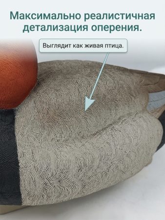 Чучело красноголовый нырок (селезень), комплект 6шт купить в магазине Хантингарт