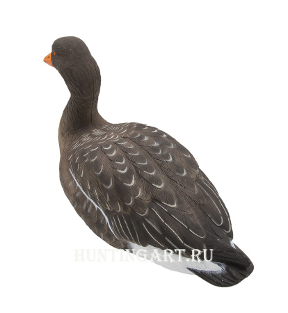 Комплект полнообъемных чучел FA HD fullbody Серого гуся (6 шт.) купить в интернет-магазине ХантингАрт