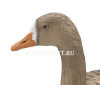 Плавающие чучела Белолобого гуся Floater Speckbelly Goose Oscar Decoys (мягкий пластик), 6 шт в трех позах купить в интернет-магазине ХантингАрт