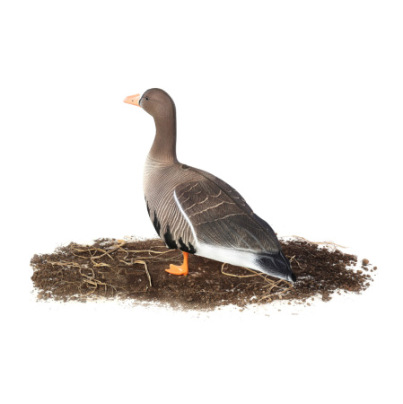 Комплект из 10 сминаемых чучел Белолобого гуся North Way Антиблик (6 кормящихся+1 отдыхающий+1 активный+2 сторожевых) купить в интернет-магазине ХантингАрт