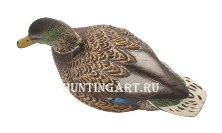 Картинка Комплект Avian-X Early Season Topflight Mallards (ранний сезон) из 6 чучел кряквы (4 селезня/2 утки) от интернет-магазина ХантингАрт Комплект Avian-X Early Season Topflight Mallards (ранний сезон) из 6 чучел кряквы (4 селезня/2 утки) купить в магазине Хантингарт