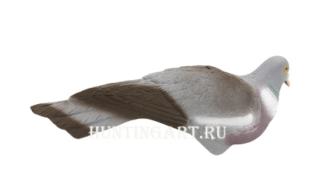 Чучела лесного голубя вяхиря купить в интернет-магазине ХантингАрт