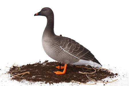 Комплект из 10 шт (6 кормящихся, 2 сторожевых, 2 отдыхающих) сминаемых чучел Гуменника Softplast 3D North Way купить в интернет-магазине ХантингАрт