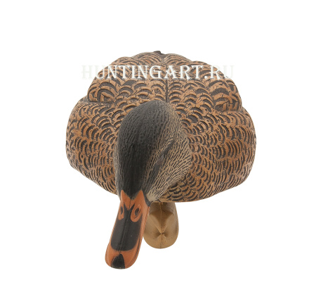 Картинка Комплект Avian-X Early Season Topflight Mallards (ранний сезон) из 6 чучел кряквы (4 селезня/2 утки) от интернет-магазина ХантингАрт Комплект Avian-X Early Season Topflight Mallards (ранний сезон) из 6 чучел кряквы (4 селезня/2 утки) купить в магазине Хантингарт