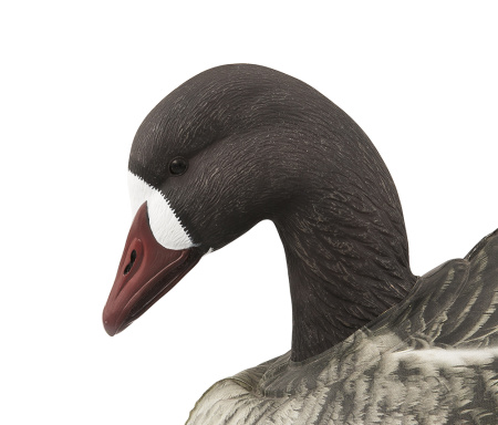 Надувные полевые чучела Белолобый гусь, 6шт - купить в Санкт-Петербурге