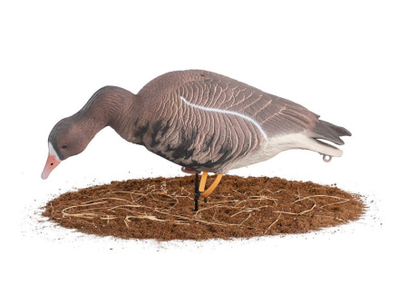 Комплект сминаемых чучел Белолобого Гуся North Way Softplast "A" (3-кормящихся, 2-отдыхающих, 1-сторожевой) купить в интернет-магазине ХантингАрт