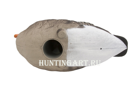 Комплект полнообъемных чучел FA HD fullbody Серого гуся (6 шт.) купить в интернет-магазине ХантингАрт