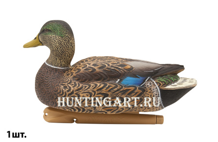Картинка Комплект Avian-X Early Season Topflight Mallards (ранний сезон) из 6 чучел кряквы (4 селезня/2 утки) от интернет-магазина ХантингАрт Комплект Avian-X Early Season Topflight Mallards (ранний сезон) из 6 чучел кряквы (4 селезня/2 утки) купить в магазине Хантингарт