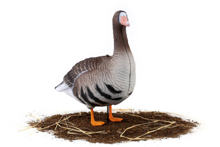 Комплект из 10 сминаемых чучел Белолобого гуся (6 кормящихся+2 отдыхающих+2 сторожевых) North Way SuperXPE 3D (Антиблик) купить в интернет-магазине ХантингАрт