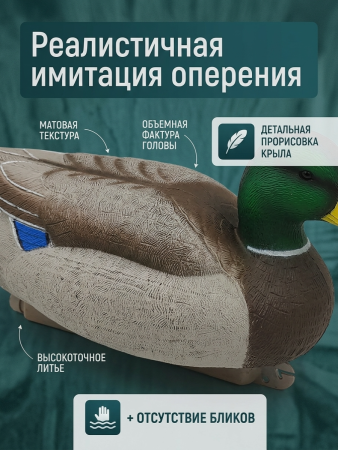 Чучело кряквы селезня, комплект 6шт купить в магазине Хантингарт