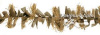 Трава "Stubble Rope" Corn Stubble купить в инетрнет-магазине ХантингАрт
