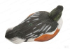 Комплект чучел утки Широконоска Shovelers Over-Size GreenHead (4 селезня, 2 утки) купить в магазине Хантингарт