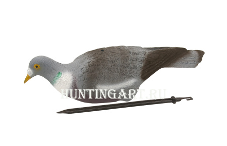 Чучела лесного голубя вяхиря купить в интернет-магазине ХантингАрт