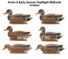 Картинка Комплект Avian-X Early Season Topflight Mallards (ранний сезон) из 6 чучел кряквы (4 селезня/2 утки) от интернет-магазина ХантингАрт Комплект Avian-X Early Season Topflight Mallards (ранний сезон) из 6 чучел кряквы (4 селезня/2 утки) купить в магазине Хантингарт
