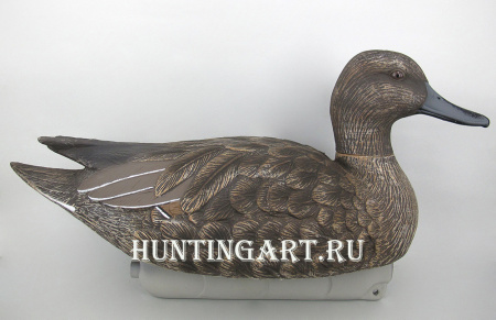 Комплект чучел - Шилохвость: 1шт (селезень), 1шт (утка) - комплект 2шт купить в магазине Хантингарт
