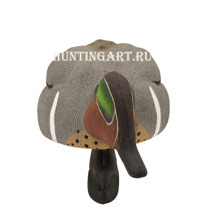 Комплект Avian-X из 6 чучел чирков - Topflight Green-Winged Teal (4 селезня/2 утки) купить в магазине Хантингарт