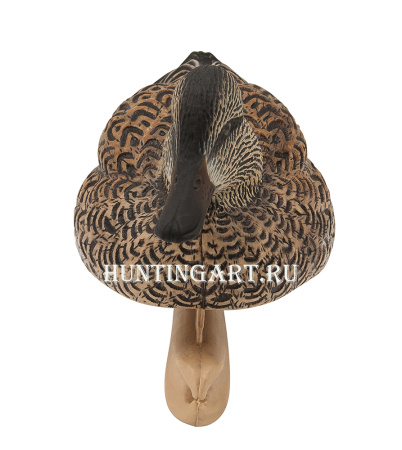 Комплект Avian-X из 6 чучел чирков - Topflight Green-Winged Teal (4 селезня/2 утки) купить в магазине Хантингарт