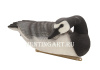 Чучела плавающие Казарка белощекая Floater Barnacles Goose Oscar Decoys 6 шт (2 сторожевых, 2 кормящихся, 2 отдыхающих) купить в интернет-магазине ХантингАрт