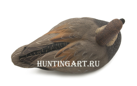 Картинка Комплект Avian-X Topflight Gadwall из 6 чучел серой утки (4 селезня/2 утка) от интернет-магазина ХантингАрт Комплект Avian-X Topflight Gadwall из 6 чучел серой утки (4 селезня/2 утка) купить в магазине Хантингарт