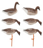 Комплект из 6 шт складного чучела гуся Гуменника на опоре-стойке Birdland купить в интернет-магазине ХантингАрт