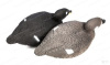 Чучело подсадное Турпан горбоносый Sport Plast (пара селезень с уткой) купить в магазине Хантингарт