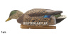 Картинка Комплект Avian-X Early Season Topflight Mallards (ранний сезон) из 6 чучел кряквы (4 селезня/2 утки) от интернет-магазина ХантингАрт Комплект Avian-X Early Season Topflight Mallards (ранний сезон) из 6 чучел кряквы (4 селезня/2 утки) купить в магазине Хантингарт