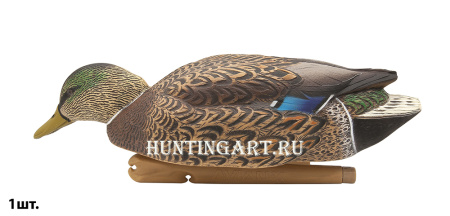 Картинка Комплект Avian-X Early Season Topflight Mallards (ранний сезон) из 6 чучел кряквы (4 селезня/2 утки) от интернет-магазина ХантингАрт Комплект Avian-X Early Season Topflight Mallards (ранний сезон) из 6 чучел кряквы (4 селезня/2 утки) купить в магазине Хантингарт