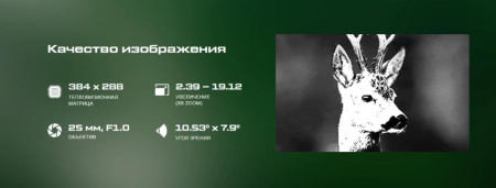 Тепловизионный монокуляр Hikmicro GRYPHON GH25L 384х288 купить в интернет-магазине ХантингАрт