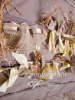 Трава "Stubble Rope" Corn Stubble купить в инетрнет-магазине ХантингАрт
