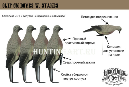 Чучела голубей (горлица) купить в интернет-магазине ХантингАрт