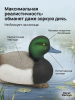 Чучело чернеть морская (селезень), комплект 6шт купить в магазине Хантингарт