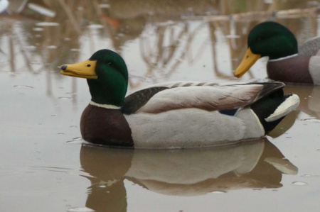 Комплект чучел Кряква FA Oversize флокированные, 6 шт (2 утки и 4 селезня) купить в магазине Хантингарт