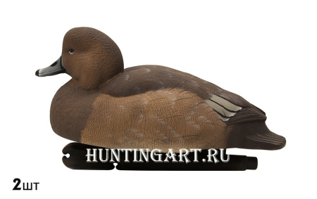 Комплект Avian-X Topflight Readheads из 6 полноразмерных чучел Красноголового нырка купить в магазине Хантингарт