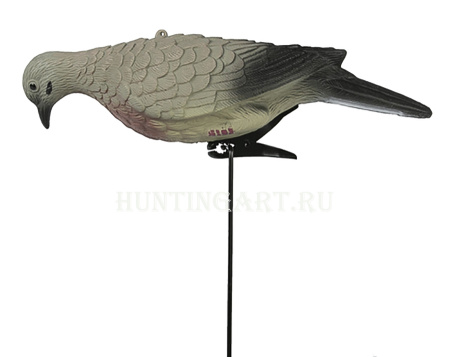 Чучела голубей (горлица) купить в интернет-магазине ХантингАрт