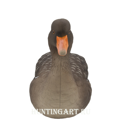 Комплект полнообъемных чучел FA HD fullbody Серого гуся (6 шт.) купить в интернет-магазине ХантингАрт