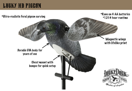 Чучело голубя с вращающимися крыльями Lucky HD Pigeon купить в интернет-магазине ХантингАрт