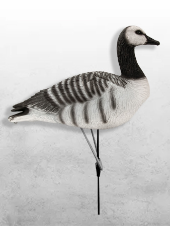 Казарка гусь Barnacles Goose, 10 шт (8+2) увеличенный размер купить в интернет-магазине ХантингАрт