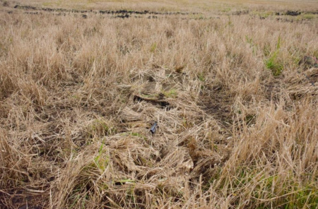 Засидка (скрадок) лежачая на гуся Шилка North Way T101 купить в инетрнет-магазине ХантингАрт