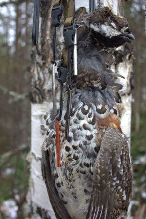 Манки на рябчика 3шт TriTon купить в интернет-магазине ХантингАрт