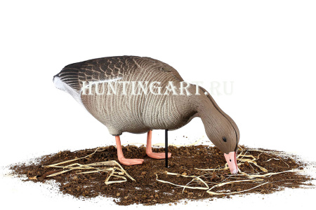 Комплект 10 шт (6 кормящихся, 2 сторожевых, 2 отдыхающих) сминаемых чучел Серого гуся 3D S-XPE North Way купить в интернет-магазине ХантингАрт