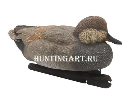 Картинка Комплект Avian-X Topflight Gadwall из 6 чучел серой утки (4 селезня/2 утка) от интернет-магазина ХантингАрт Комплект Avian-X Topflight Gadwall из 6 чучел серой утки (4 селезня/2 утка) купить в магазине Хантингарт