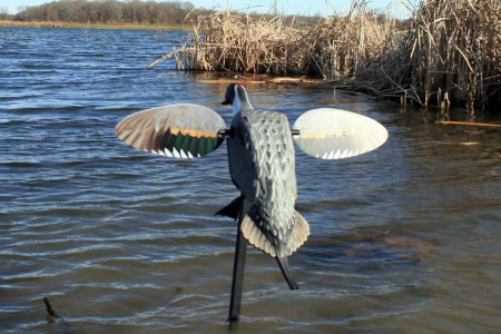 Механическое чучело селезня шилохвости Mojo серия Элит купить в интерент-магазине Хантингарт