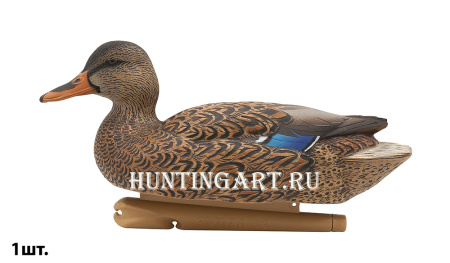 Картинка Комплект Avian-X Early Season Topflight Mallards (ранний сезон) из 6 чучел кряквы (4 селезня/2 утки) от интернет-магазина ХантингАрт Комплект Avian-X Early Season Topflight Mallards (ранний сезон) из 6 чучел кряквы (4 селезня/2 утки) купить в магазине Хантингарт