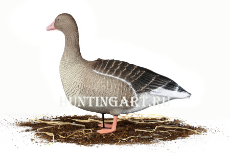 Комплект 10 шт (6 кормящихся, 2 сторожевых, 2 отдыхающих) сминаемых чучел Серого гуся 3D S-XPE North Way купить в интернет-магазине ХантингАрт