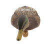 Картинка Комплект Avian-X Early Season Topflight Mallards (ранний сезон) из 6 чучел кряквы (4 селезня/2 утки) от интернет-магазина ХантингАрт Комплект Avian-X Early Season Topflight Mallards (ранний сезон) из 6 чучел кряквы (4 селезня/2 утки) купить в магазине Хантингарт