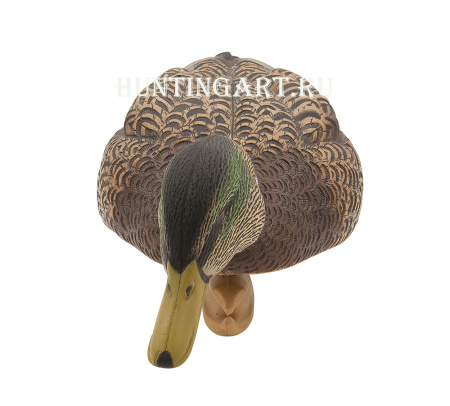 Картинка Комплект Avian-X Early Season Topflight Mallards (ранний сезон) из 6 чучел кряквы (4 селезня/2 утки) от интернет-магазина ХантингАрт Комплект Avian-X Early Season Topflight Mallards (ранний сезон) из 6 чучел кряквы (4 селезня/2 утки) купить в магазине Хантингарт