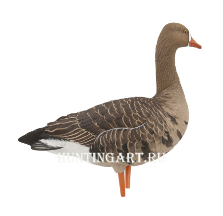 Комплект Avian-X из 6 полноразмерных чучел белолобого гуся с сумкой купить в интернет-магазине ХантингАрт