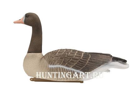 Комплект плавающих чучел Белолобого гуся Floater White fronted goose 3D Oscar Decoys, 6 шт в трех позах купить в интернет-магазине ХантингАрт