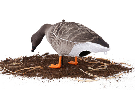 Комплект из 10 шт (6 кормящихся, 2 сторожевых, 2 отдыхающих) сминаемых чучел Гуменника Softplast 3D North Way купить в интернет-магазине ХантингАрт